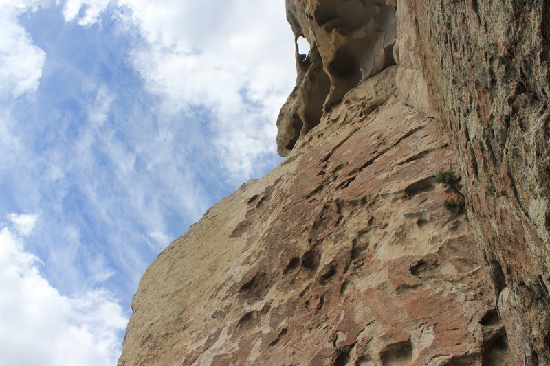 looking up.