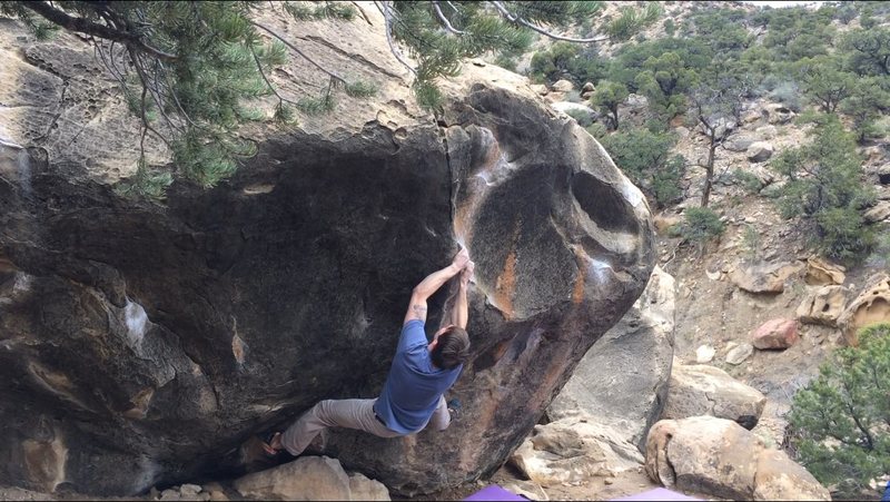 A man sized boy, on a boy sized boulder.
