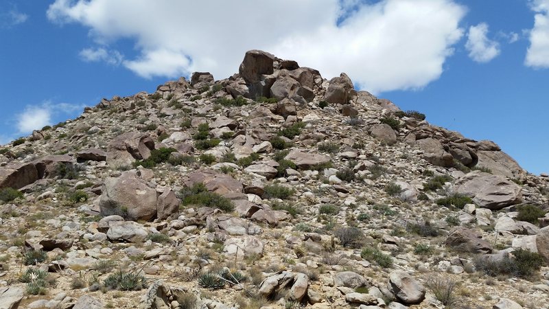 The view up hill.
