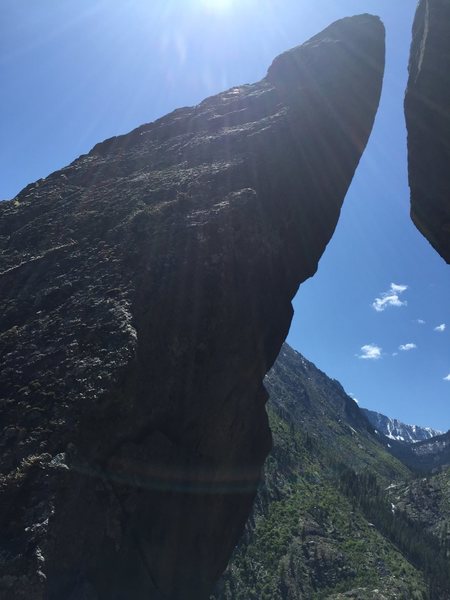 close up of the gap
