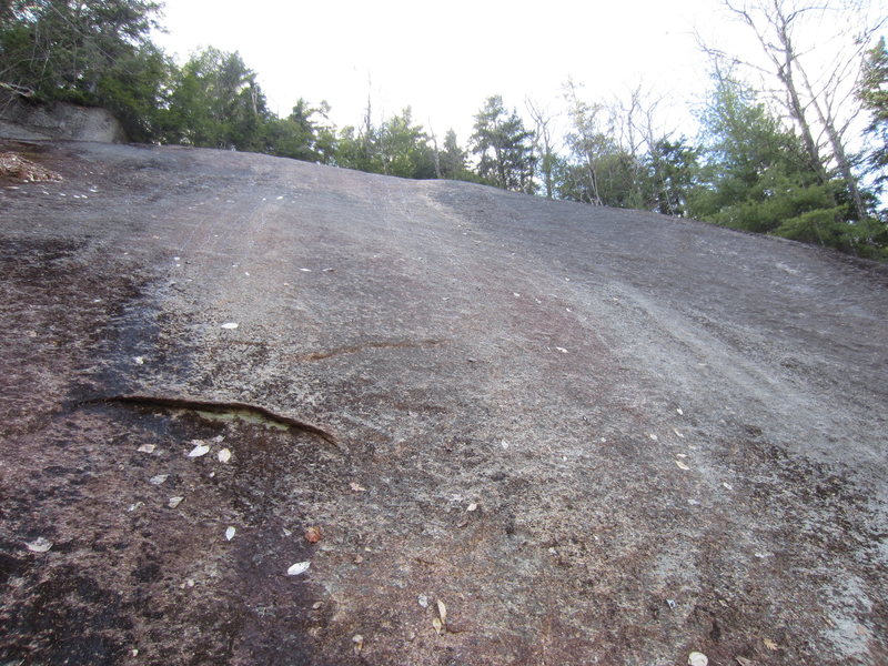 looking up bot lines on Found-A-Line & Elvis in The House.Small rivulets of water from top are coming down, but not that wet.