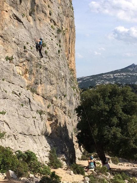 Climbing toprope in the vicinity of Cala Gorone, Sardinia, Italy.