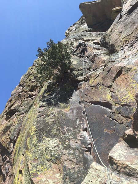 Directly above Alex's head are two crack systems that both trend left. Take the lower of the two crack systems, and eventually end at the same ledge.