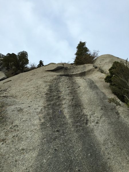 Looking up Gumbyland from the belay ledge.