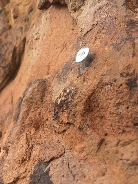 One of the four 1/4" button head rivets.