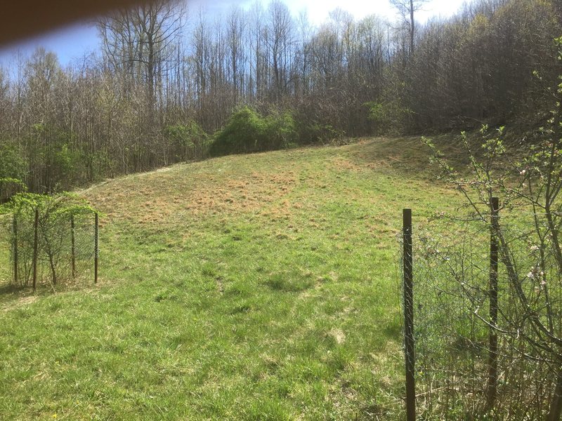Picture in the clearing looking uphill due south near the planted trees. Thats where the fire trail begins. The lawn will be overgrown over the season. I dont know who maintains it.