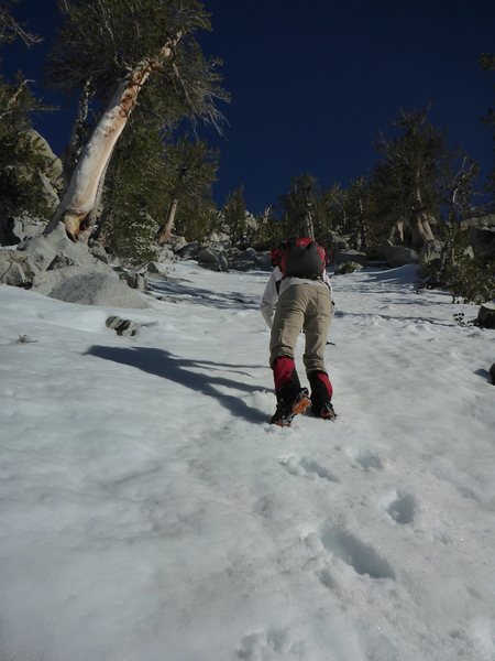 Near the top