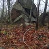 A boulder in Spring Pond Woods.