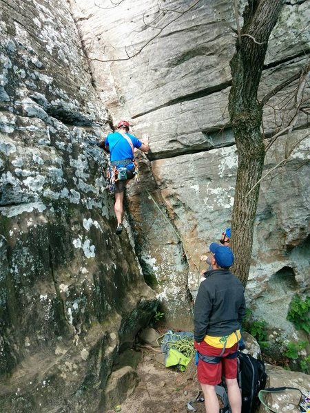 Michael is figuring out the start on Poison Ivy