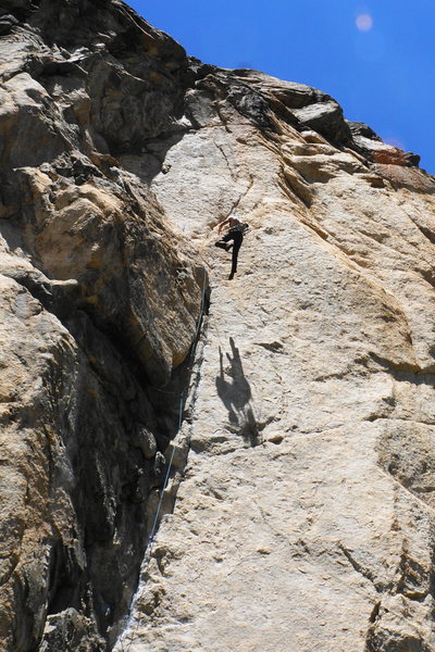 Birthday victory whipper!
