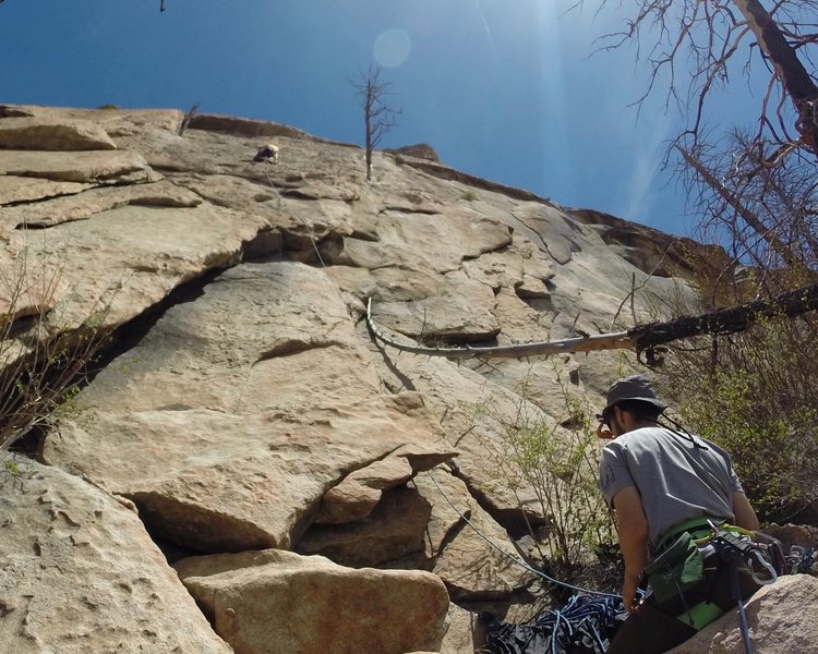Higher up, on the bolted face. big grins.