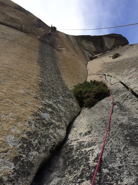 High on the rivet ladder of pitch 5