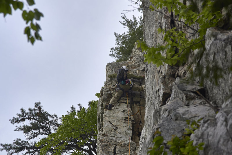 Mike getting a solid lead on Le Gourmet. Don't let the pic fool you...there are plenty of holds but even at 5.4 Le Gourmet will test a new leader. Especially if you throw Front C in there!