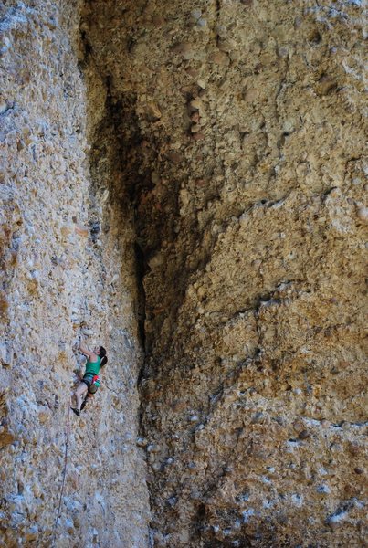 Tiff Climbs Dry Times