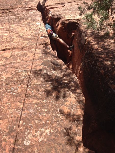 Toproping the Chimney at Practice Cliffs. Lots of grunting noises.
