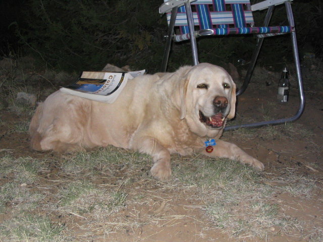 Aspen (then age 11) totally worked but enjoying the camping scene after a long day of cragging at Shelf, 2005.