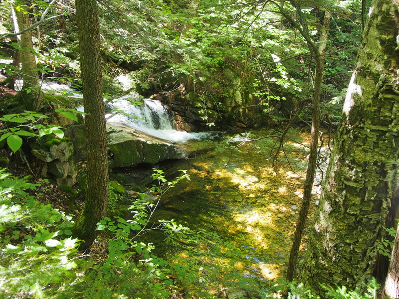 Scenic Cascade and Pool about 10-15 min. up the trail to Table Mt