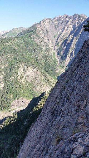 Good exposure from near the top