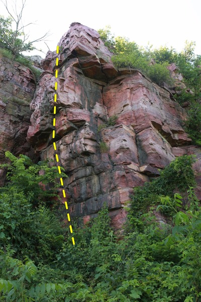 looking from the Bur Oak trail at Cobblestone