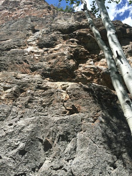 Jug Run is the bolt line immediately left to the aspen tree in this photo... it essentially follows the arc described by the tree. Pocket Protector is the longer route on the left.