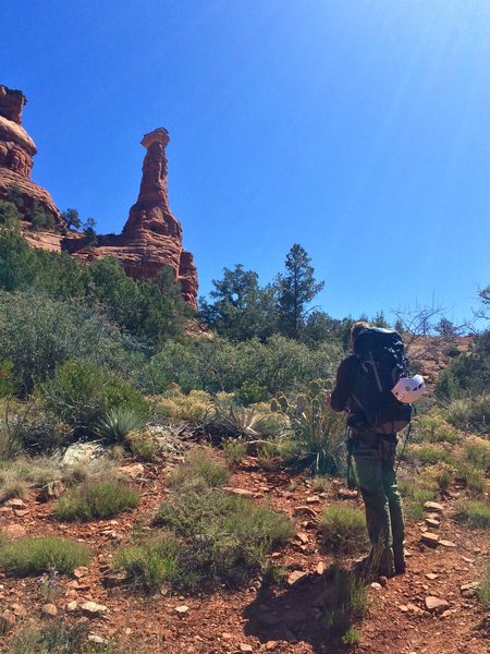 Steve looking southeast at Kachina Woman while returning from a jaunt down Boynton Canyon.