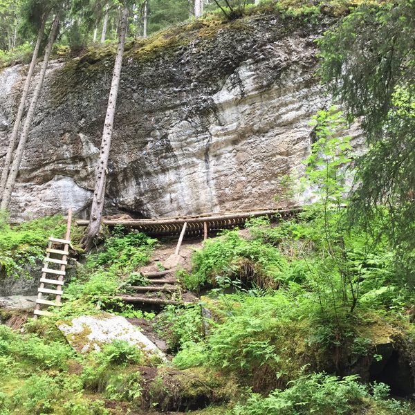 Looking up from the outhouse trail towards the Rakkenrall sector.