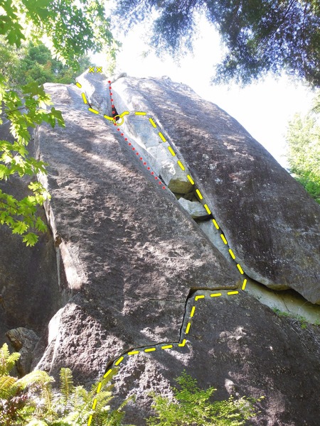 Magic Fern (yellow) and Curious Poses (red)