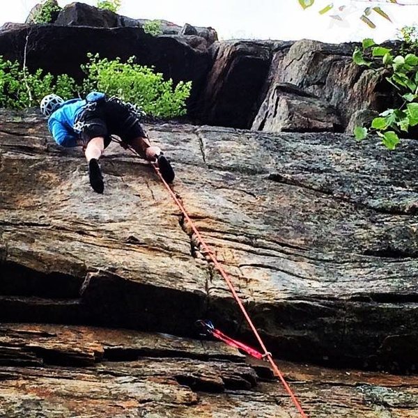 Roaches, Pitchoff, ADK.