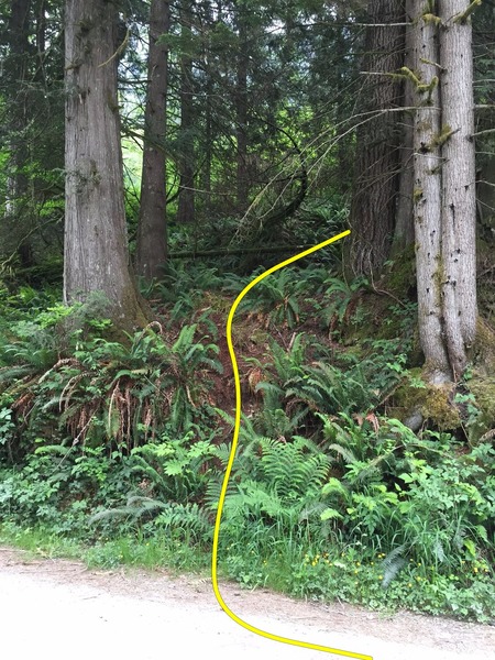 Trail Entrance