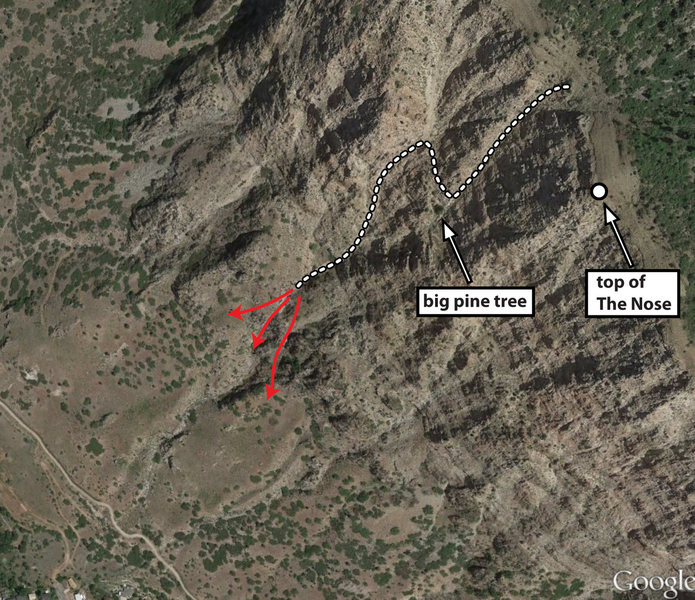 Descent location beta for the northern/gully descent. The three red arrows are three different routes you can take at the bottom of the gully. The middle arrow down the wash/canyon is not recommended.<br>
<br>
Note that at the pine tree, you can also continue down skier's left a bit and basically end up on the approach trail/path. It requires a bit of downclimbing or maybe a short rappel, but it's a little quicker than cutting back right and allows you to stay up out of the drainage.