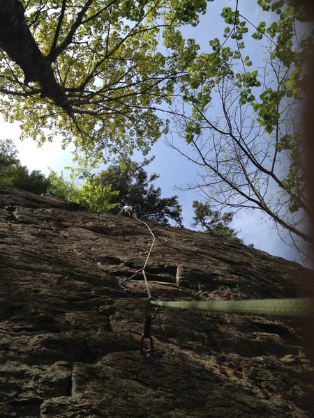 Climb this!