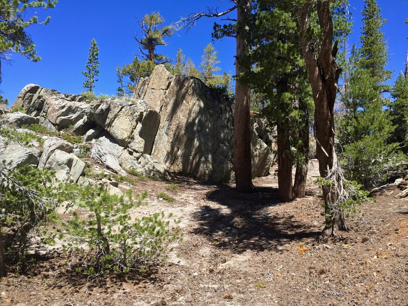 The South Ridge boulder nestled in the trees high above TJ Lake
