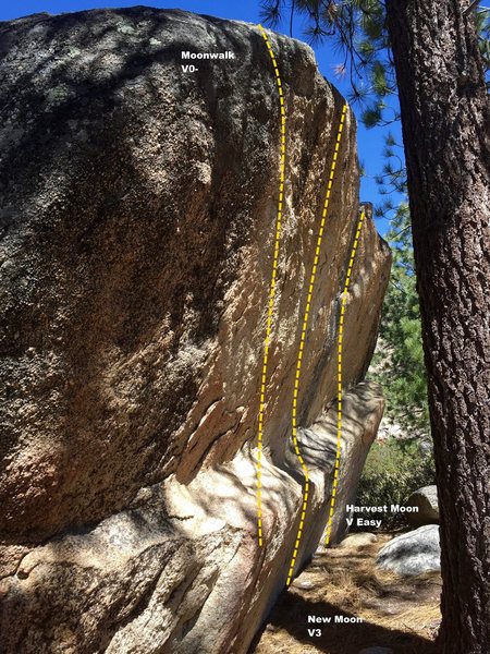 South face topo