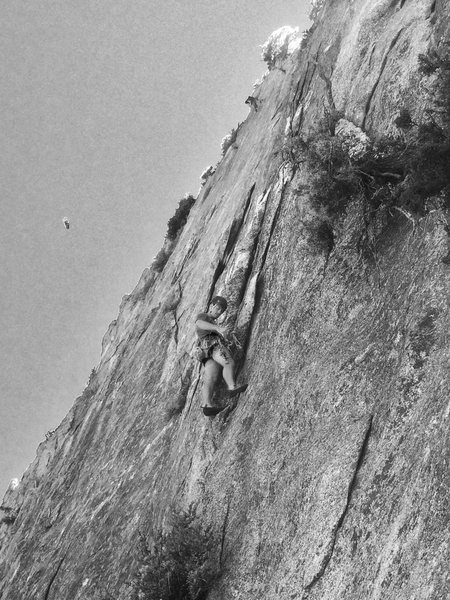 BL during the FA of Sierra Wave!!