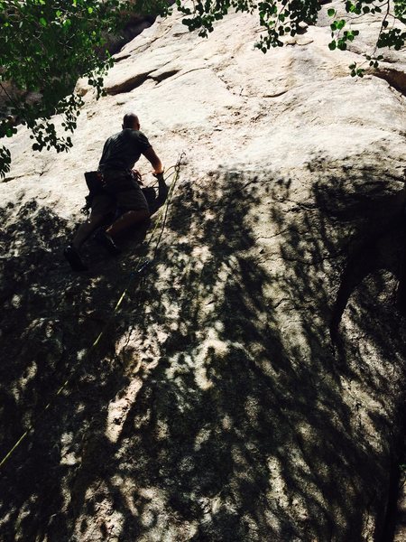 Near the bottom.
