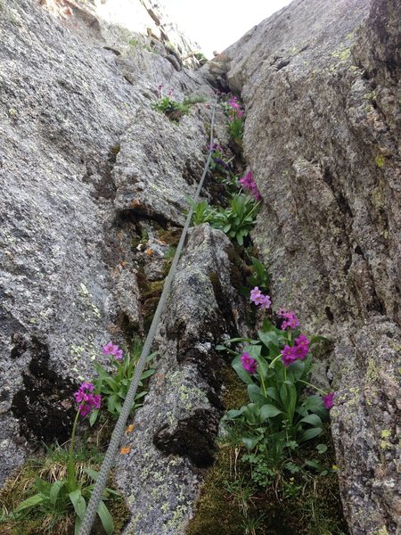 Lovely scenery on the last pitch! Hence, the route name.
