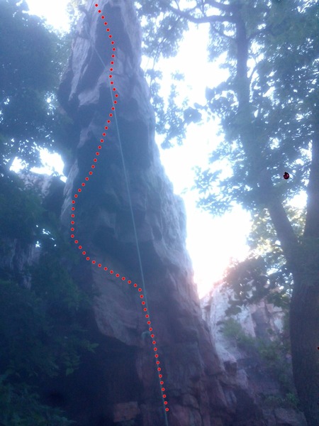 The line