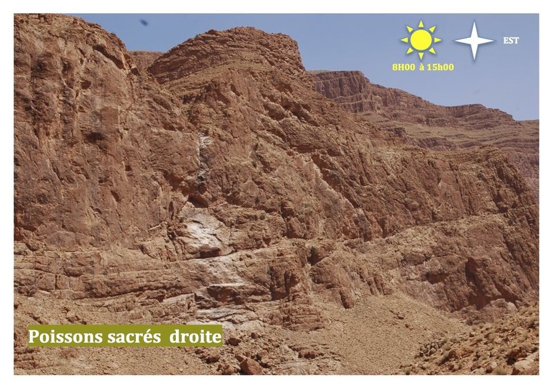 Climbing in Morocco Escalade au Maroc<br>
Guidebook climbing in the Todra gorges <br>
Poissons sacrés droite