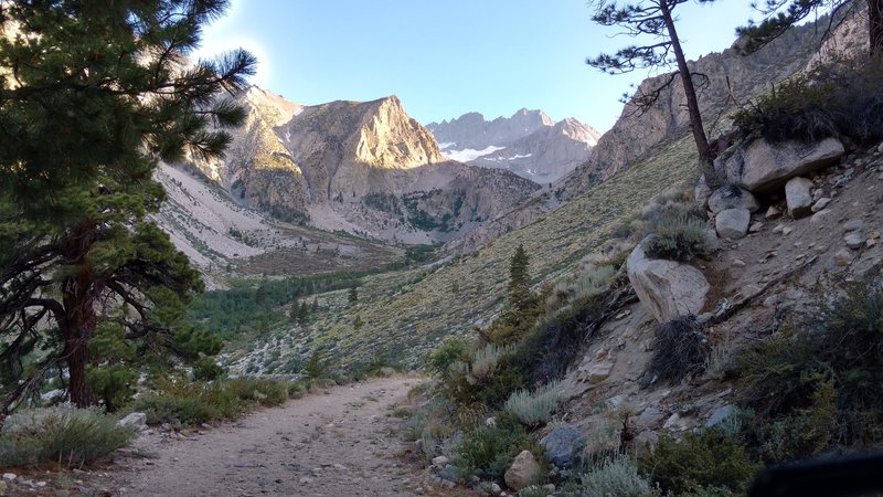 View near beginning of North Fork of Big Pine Creek approach. 