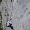 Left hand gripping the "Rotpunkt" plastic hold, bolted to make this pitch only 6b. <br>
<br>
Not typical of this area, but just an extreme manifestation of facilitating 'plaisir' climbing in Switzerland!