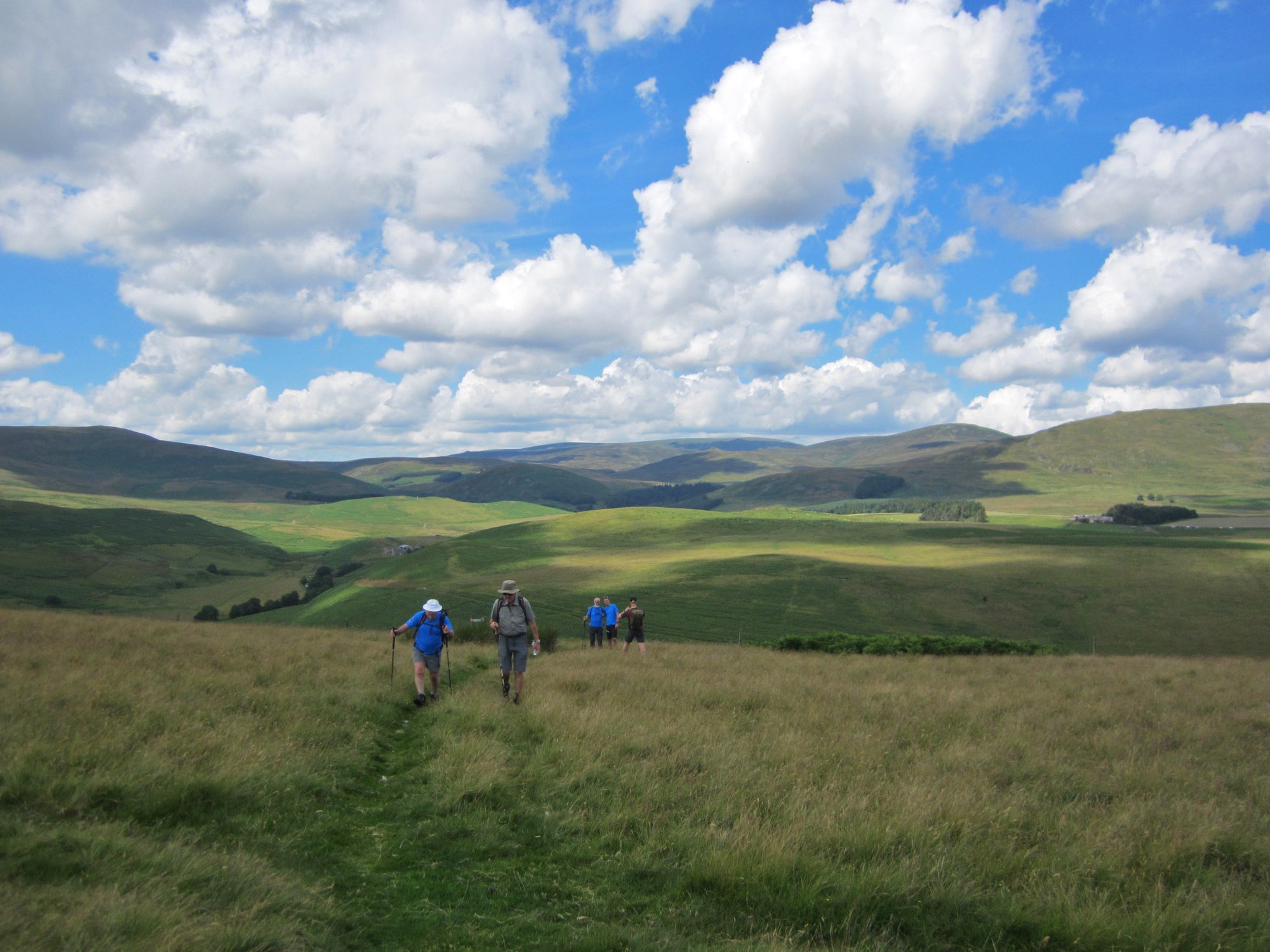 In the Cheviot Hills