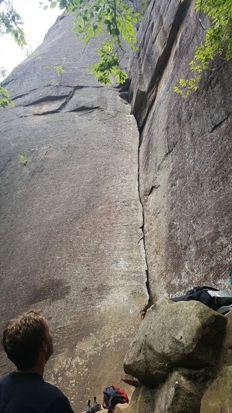 Roadside Attraction (5.7)
