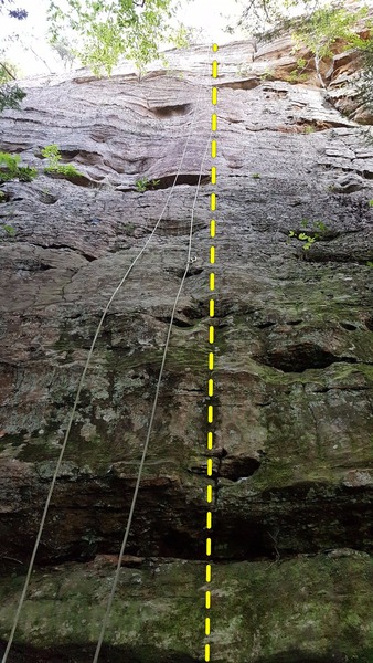Gunner (5.9)