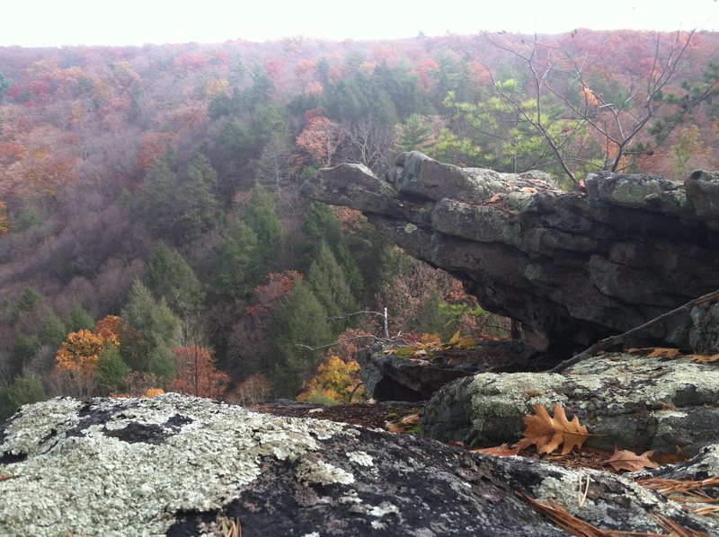 The main overlook on the left side of Devil's Nose cliff.