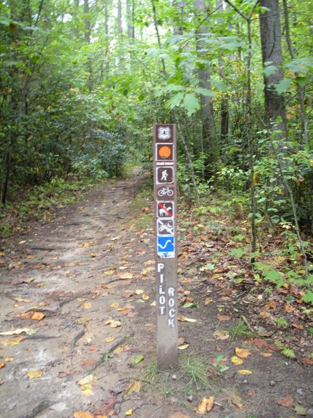 Trail-head sign. Look for this sign, on your left, as you drive in on FS-1206 (the dirt road).