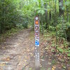 Trail-head sign.  Look for this sign, on your left, as you drive in on FS-1206 (the dirt road).  