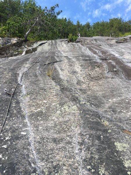 Looking Up the stellar P5 of "DLM-Memorial" Alternate "P5a"<br>
climbs a few feet right of the bush. The tree on left MIGHT help a party trying to rap with a single 60m rope.