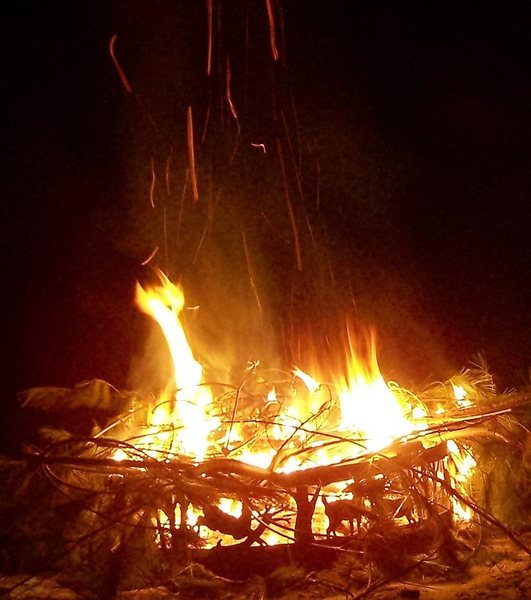 great campfires. Collect all the dead wood from forest floor you wish for fires. We don't sell you firewood; its' here to use from nature.