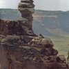 Ross and Gardner FA Kachina Tower South 1999