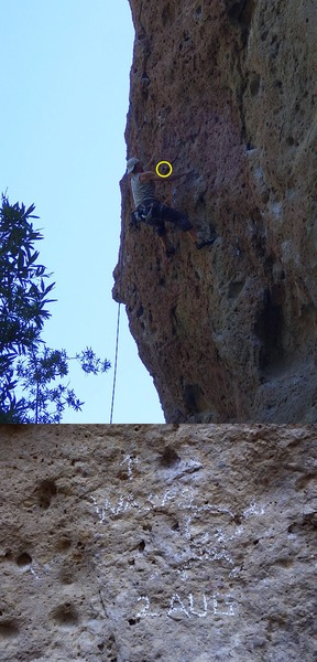 Wasp nest on Family Jewel, as of 3 Aug 2016.